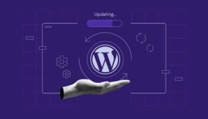 WordPress website maintenance